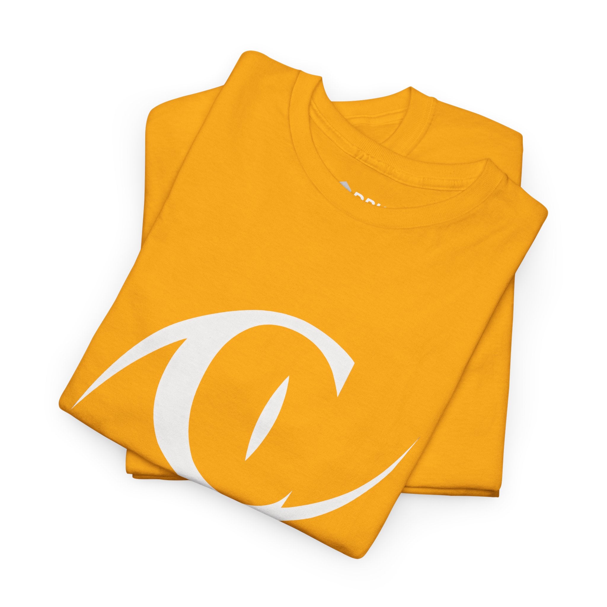 Catwoman T-Shirt – Bold Eye Graphic | DC Comics Stylish Tee