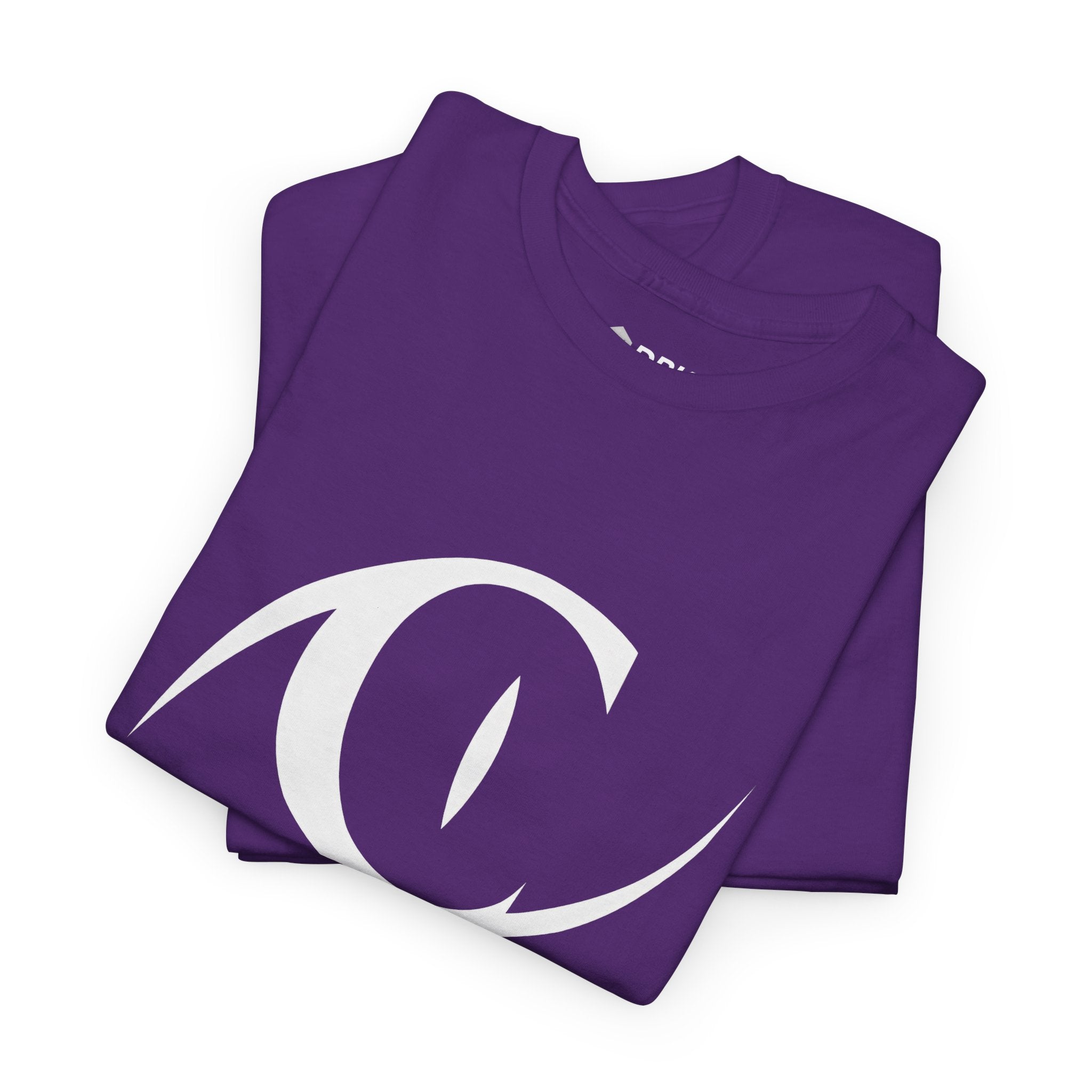 Catwoman T-Shirt – Bold Eye Graphic | DC Comics Stylish Tee