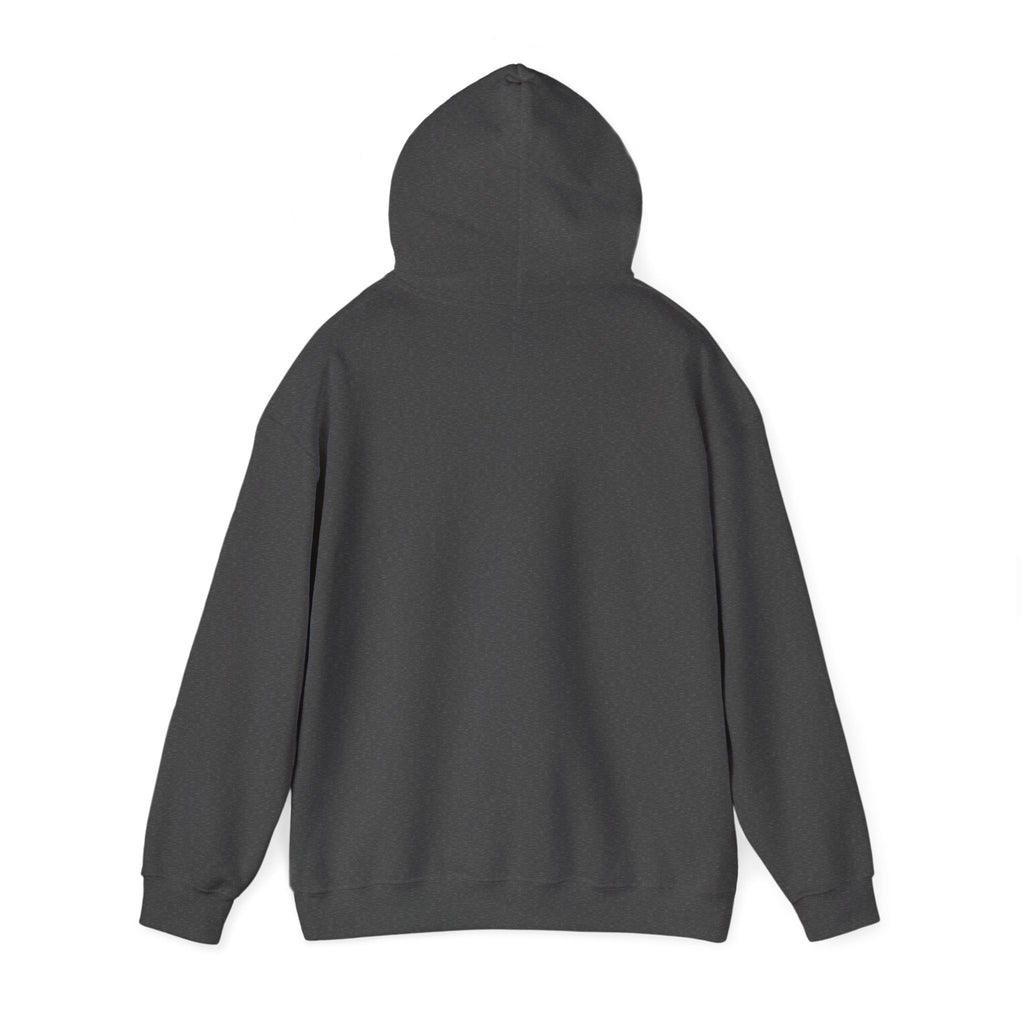 Catwoman Hoodie– Big Eye Graphic | DC Comics Stylish Pullover