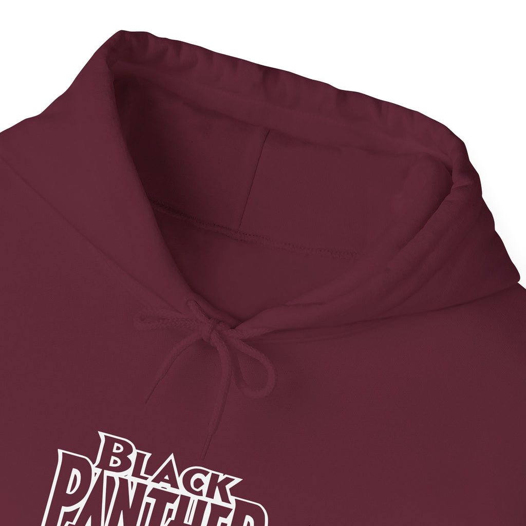 Black Panther Logo Hoodie - Marvel Black Panther Graphic Pullover