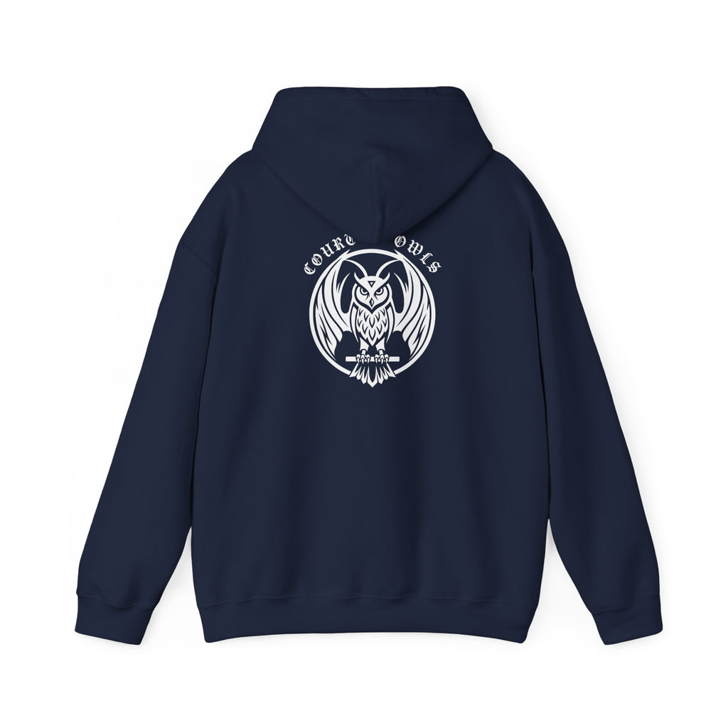 Absolute Batman The Court of Owls Graphic Hoodie — Court of Owls Pullover