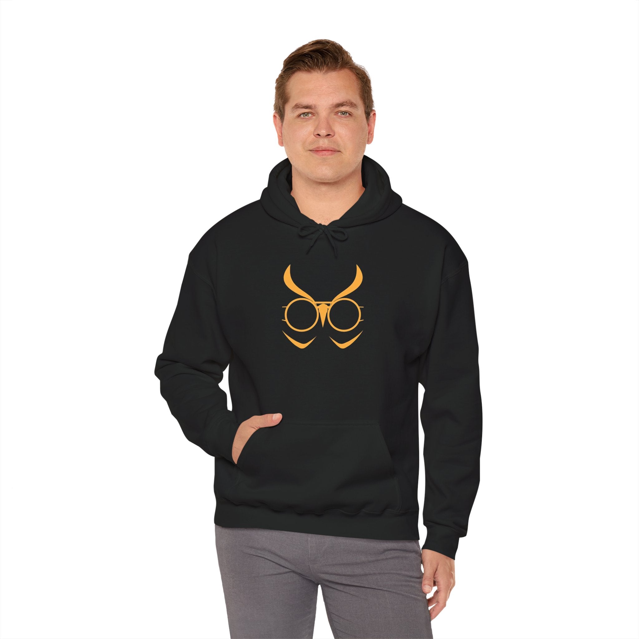Absolute Batman The Court of Owls Graphic Hoodie — Court of Owls Pullover